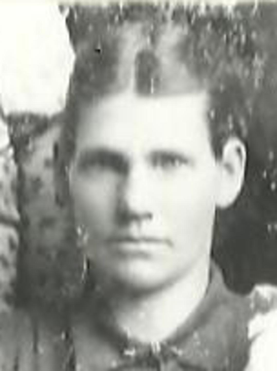 Fannie Jane Beard (1855 - 1933) Profile